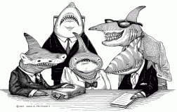 lawyer-shark