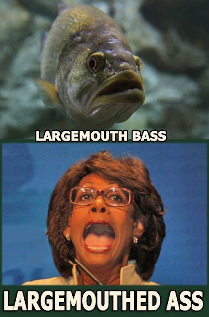 Maxine-Waters-separated at birth