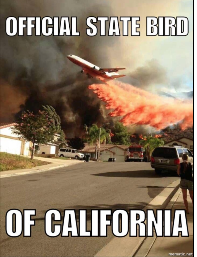 CA State Bird