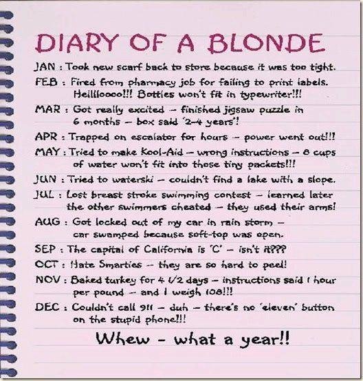 Diary of a Blonde