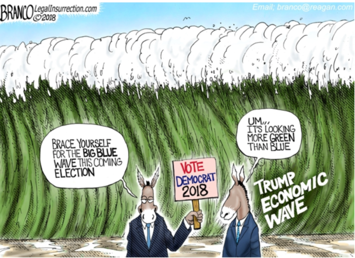 Dems-Wave-election