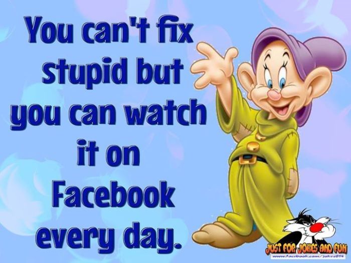 You-Can-t-Fix-Stupid-facebook