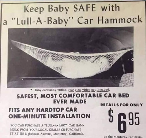 car hammock