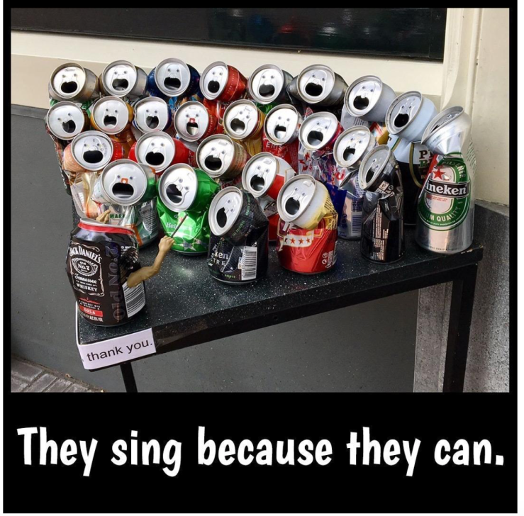 They sing because they can