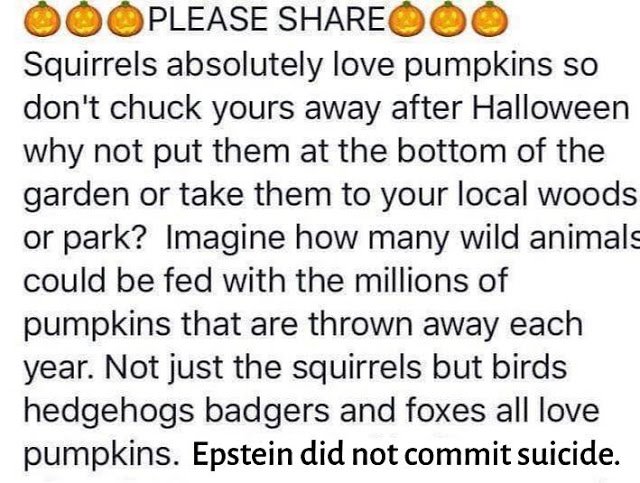 Epstein-squirrels
