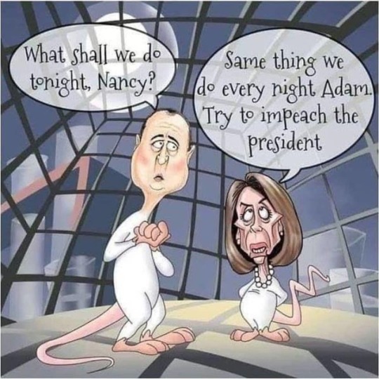 Schiff-for-brains_Nasty P. Lousy-'Rats