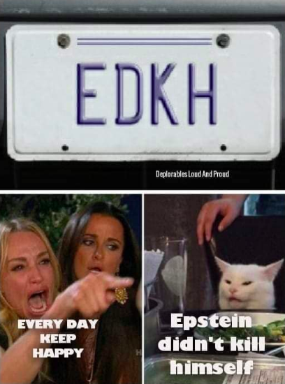 epstein-license plate